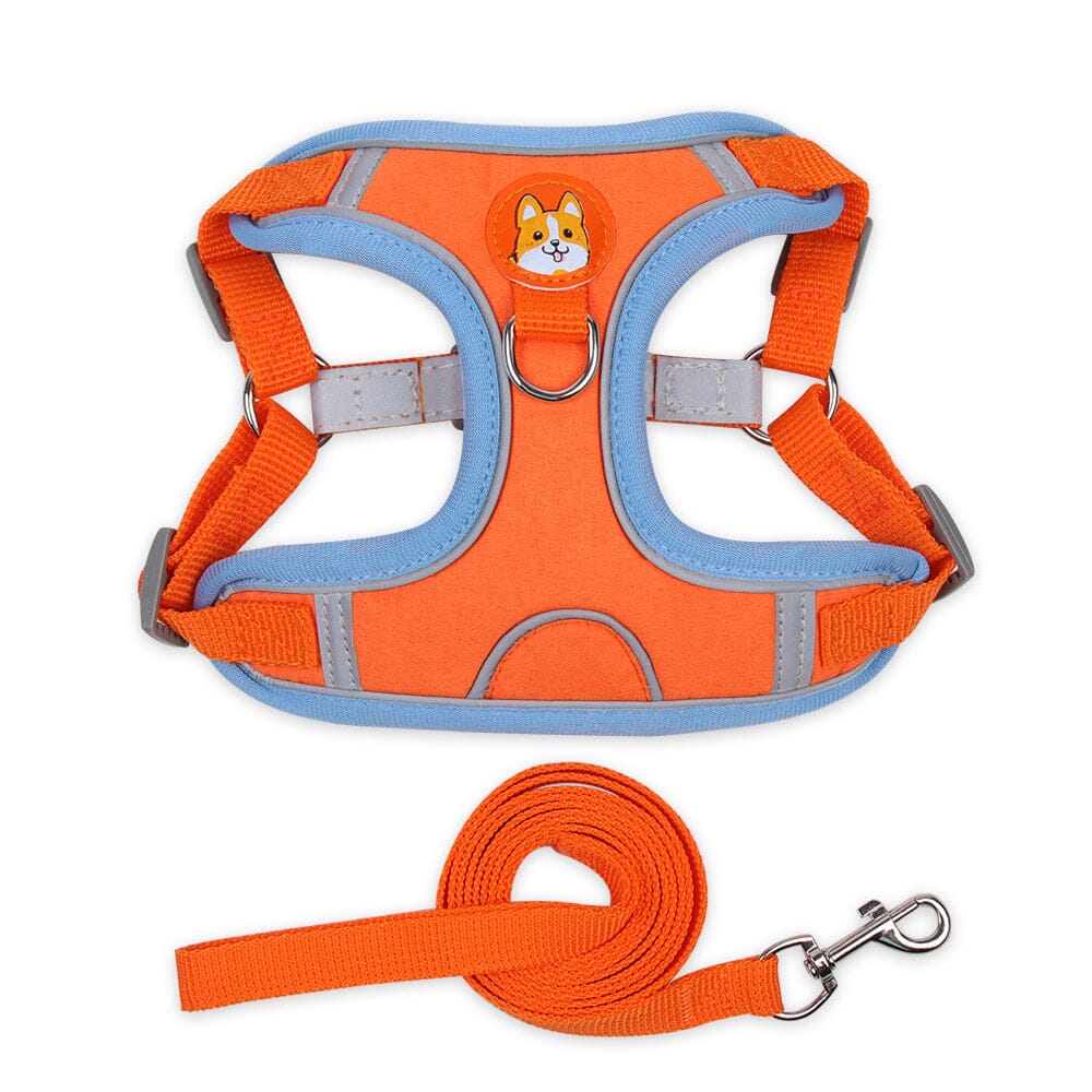 Dog Harness with Leash Set